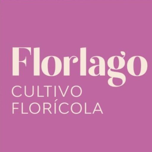 Flor del Lago